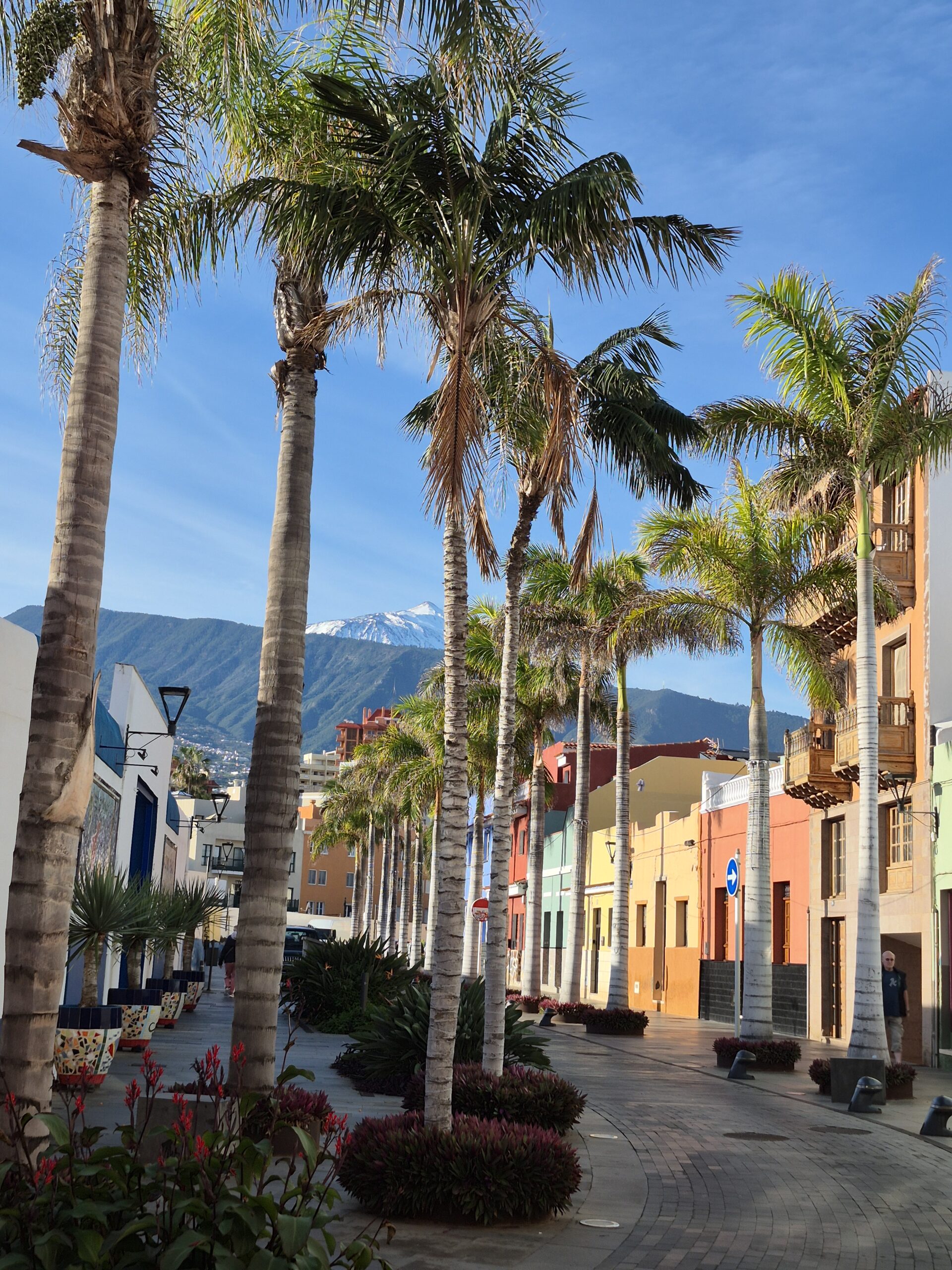 Tenerife 1